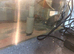2 musk turtles male and female with tank and accessories filter heat light etc