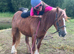 *** MOTHERS DREAM PONY ***