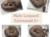 A selection of available rescue snakes