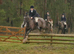 15.2hh 6 year old sporty Irish cob mare
