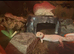 Albino/blizzard morph leopard gecko