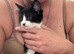 4 gorgeous kittens for sale.