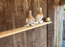 Pair of timbers