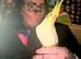 Hand-Raised Silly Tame Female Lutino Cockatiel,
