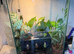 Giganterra HIVE L Gecko Vivarium Complete Setup - Plants, Vines, UVB & Heat Light