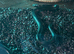 Young Mexican black king snake with full set up