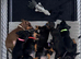 Dachshund puppy&rsquo;s
