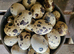 Fertile quail eggs