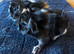 Beautiful boy +more ready 2 reserve