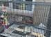 Pet travel cage