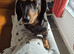 LOVING LITTLE BOY NEEDS A NEW HOME.