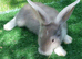 Beautiful Litter of Mixed Coloured Pure Bred Continental Giants - Vaccinated - RESERVE