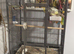 Very tame with large cage and accessories