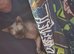 Beautiful Male Sphynx Looking for a Loving Forever Home