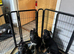 3 female puppy ready to home