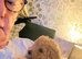 Maltipoo Red Girl