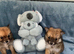 Pomeranian puppies