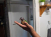 green cheek conure