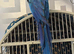 SEMI TAME AND TALKING BABY BLUE AND GOLD MACAW FOR SALE