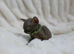 Gorgeous Sphynx Kittens