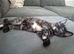 2 FEMALE KITTENS READY NOW.