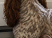 Beautiful F1b Cockapoo Puppies