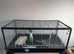 Hamster cages