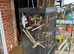 Parrot cage