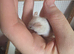 3 young mice