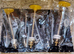 NEW! 2kg Tropican Bird Hand Feeding Formula, & Set Of 3 Feeder Spoons,