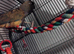 Patagonian conure