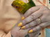 9 week old Male Sun Conure