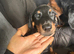 2 beautiful Male Doberman pups looking for forever homes