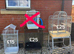 Birds cages for sale