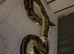Female pastel yellow belly 100% het clown/male pied 100% het albino