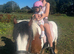 Delilah cob cross mare