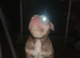 American bully akbc