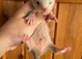 Half & semi angora Kits available