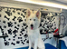*FREE until proven* ~ White Long Coat German Shepherd Dog Male at Stud