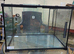 PawHut 50 x 30 x 35cm Reptile Terrarium