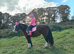 Beautiful ex riding school mare and confidence giver available to share 2-3 days a week