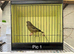 Mutation greenfinches