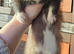 Ferret hob kits