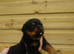 German rottweiler puppies