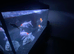Fluwal fish tank 240L for sale.