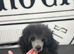 Ready Now Silver toys