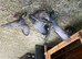Very nice and good quality racing pigeon