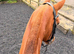 Ex polo pony