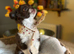 Long-Haired Chihuahua Girl - Betsy