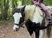 Bombproof Ride & Drive Mare